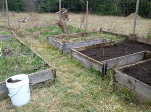 Partly completed raised beds