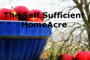 Self Sufficient HomeAcre Clothespin Review